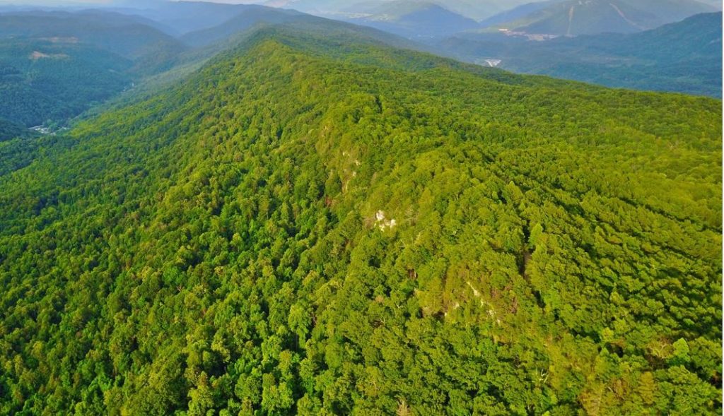 Our Affiliates Kentucky Natural Lands Trust Mountain Association