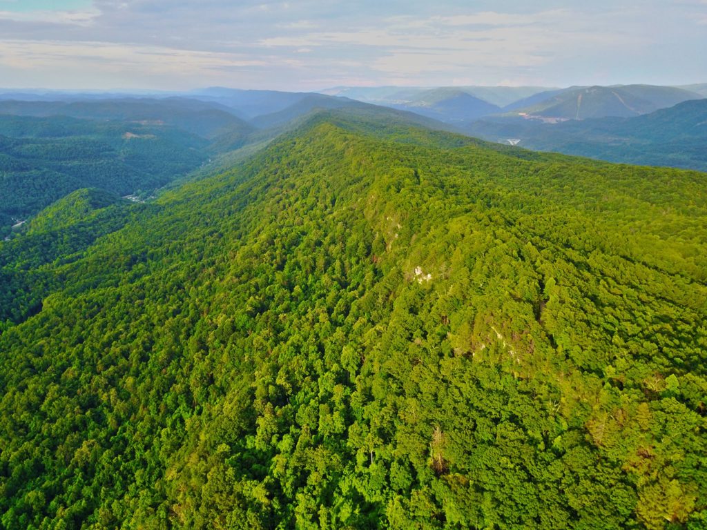 An aerial view of the Pine Mountain Wildlands Corridor's Line Fork Preserve. KNLT is an affiliate of the mountain association