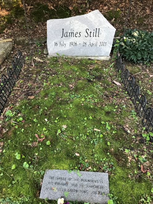 A gravestone in Knott County kentucky shows where James Still is buried on the Hindman Settlement School campus.
