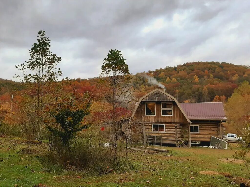 The cabin that Michael and Joana built by hand on their land at Sylvatica Forest Farm 