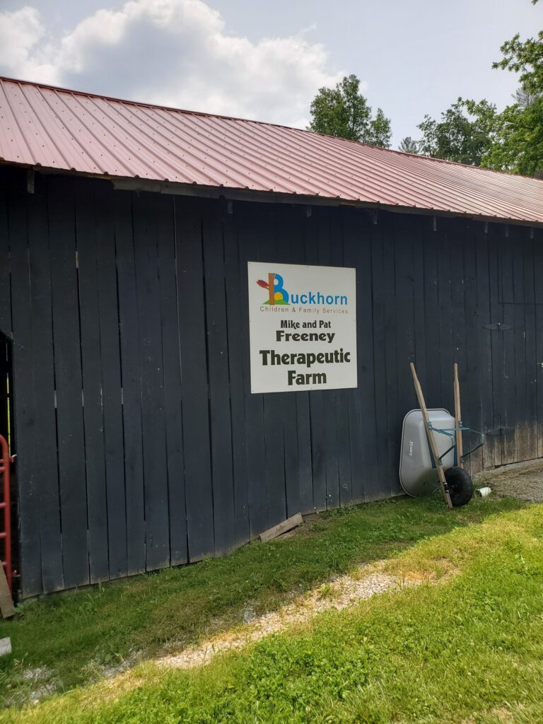 buckhorn solar kids therapy addiction