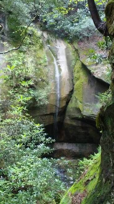 graiing fork red river gorge