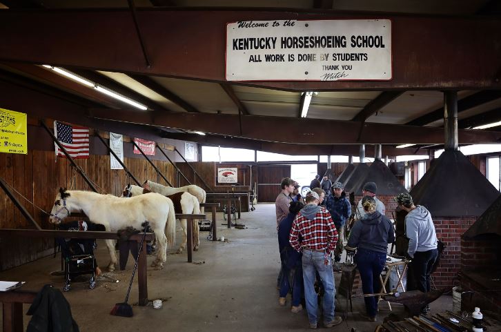 A group of students learn at the Kentucky Horseshoeing School in Richmond, a town in Madison County.