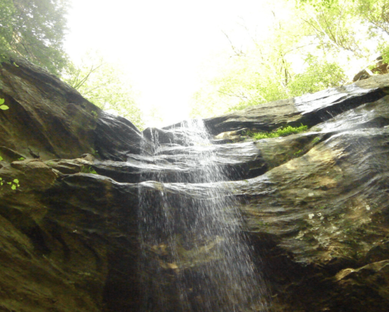 knlt kentucky natural lands trust eastern kentucky conservation