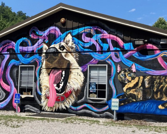 leslie county animal shelter mural