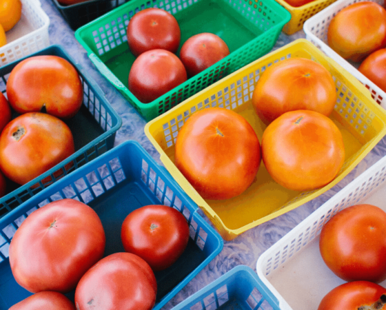 local food hazard eastern kentucky northfork food system appalachia