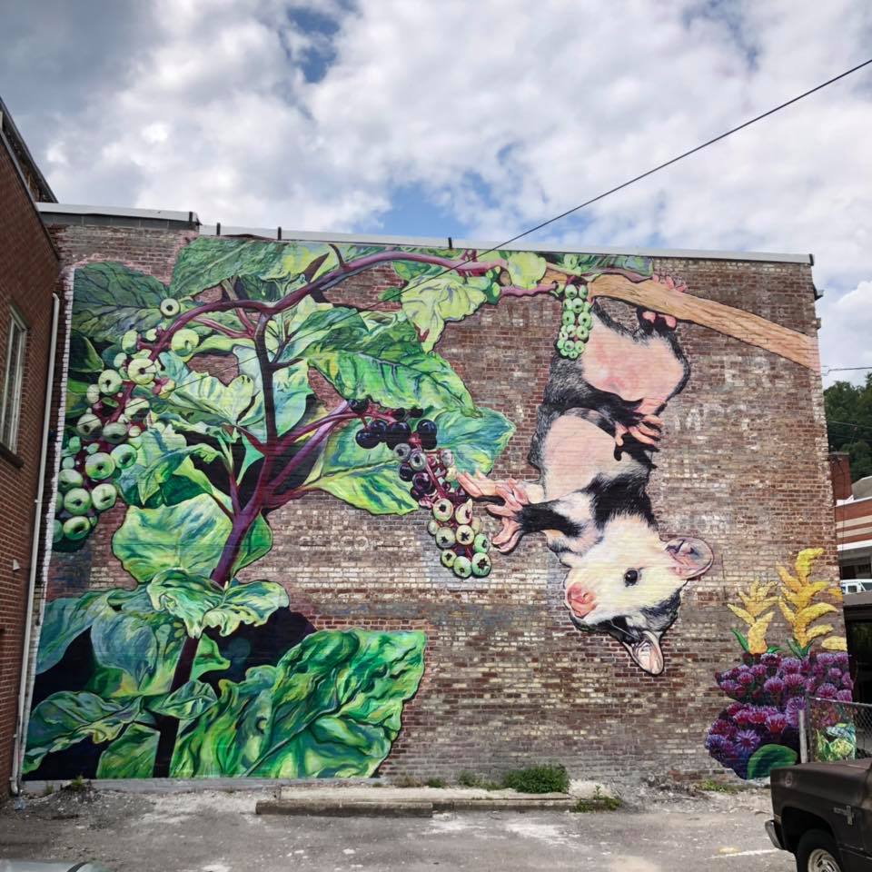 Lacy Hale's mural in downtown Harlan Kentucky shows Appalachian art. MACED provides artists with business loans and support