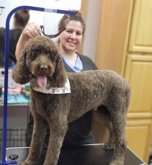 Waggin Tails owner Tara Ritchie stands with a poodle after grooming it in her whitesburg, kentucky business. MACED provided financing