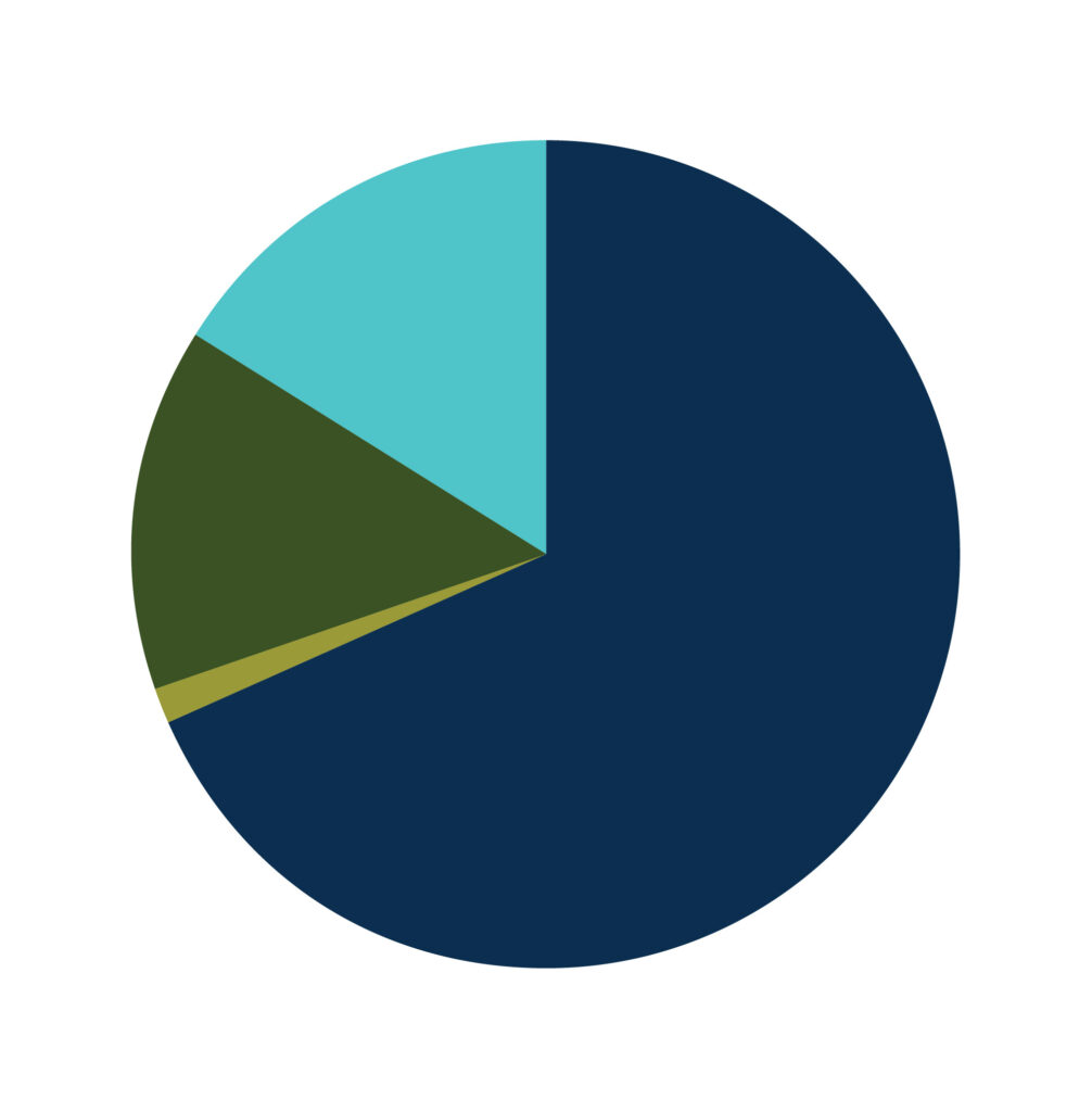 web MA pie chart 1